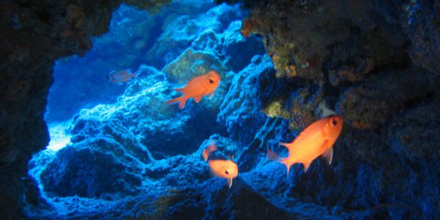 4 discover mauritius underwater caves